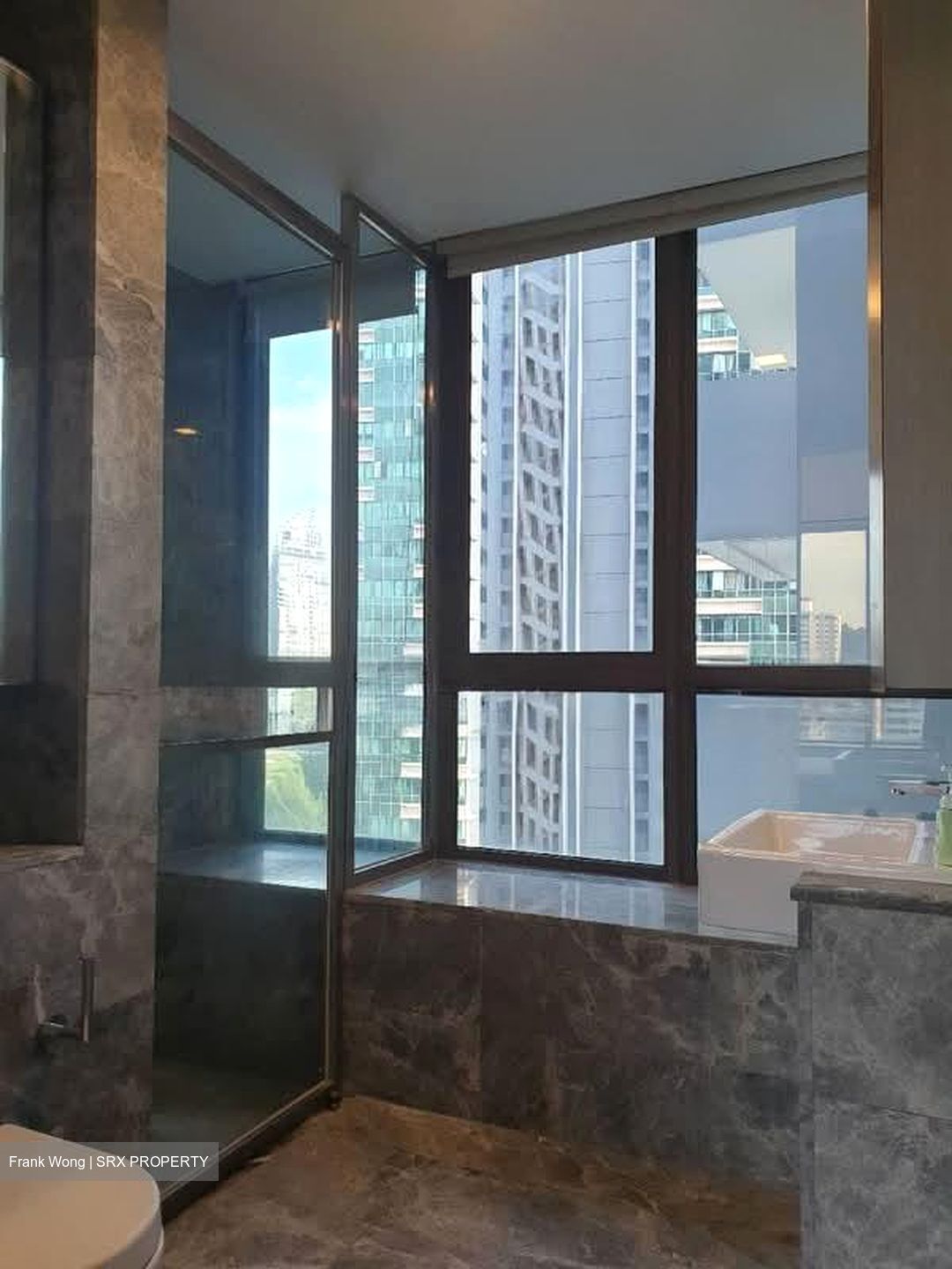 Skyline Residences (D4), Condominium #573984461